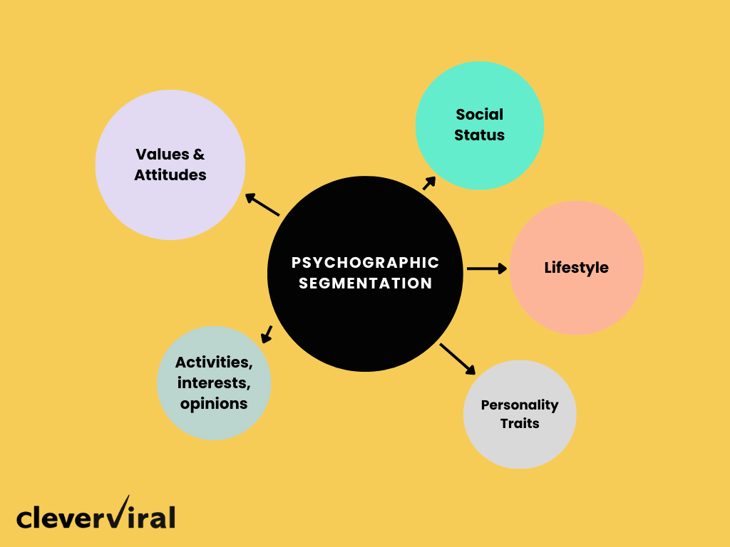 Psychographic segmentation variables