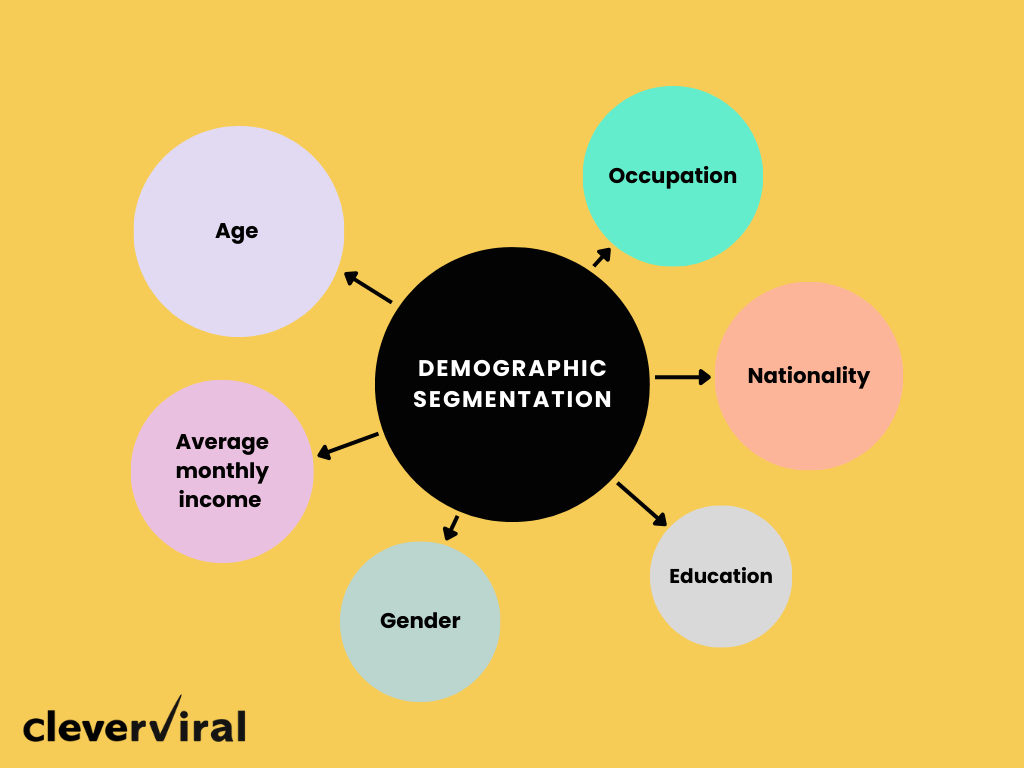Demographic segmentation variables