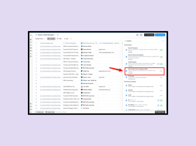 Get domain from company name.