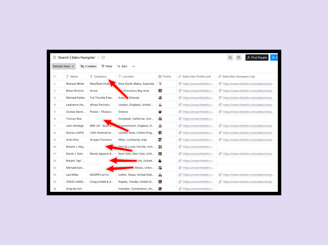Bridging the gaps in data while you scrape LinkedIn Sales Navigator for company URLs